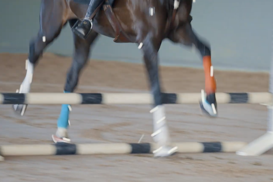 Kolla klippet: Hur rör sig hästar med och utan skor vid hoppning?