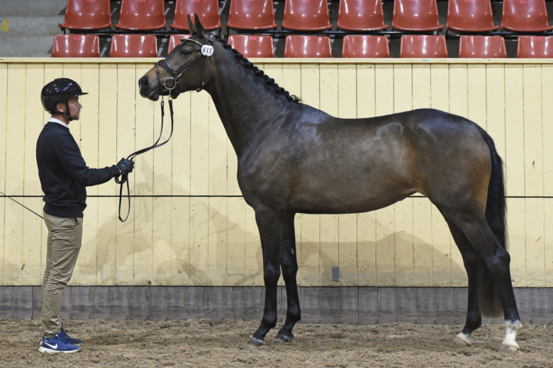 Många högpoängare på Flyinge