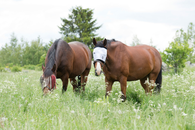 Flughuvan kan skada mer än hjälpa
