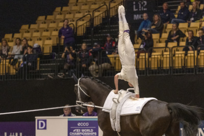 Landslaget klart inför VM-året 2026