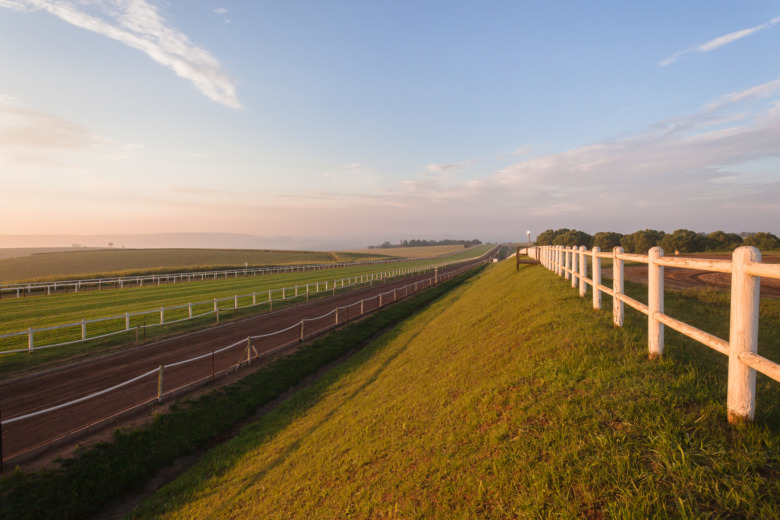 Kvinna död i ridolycka