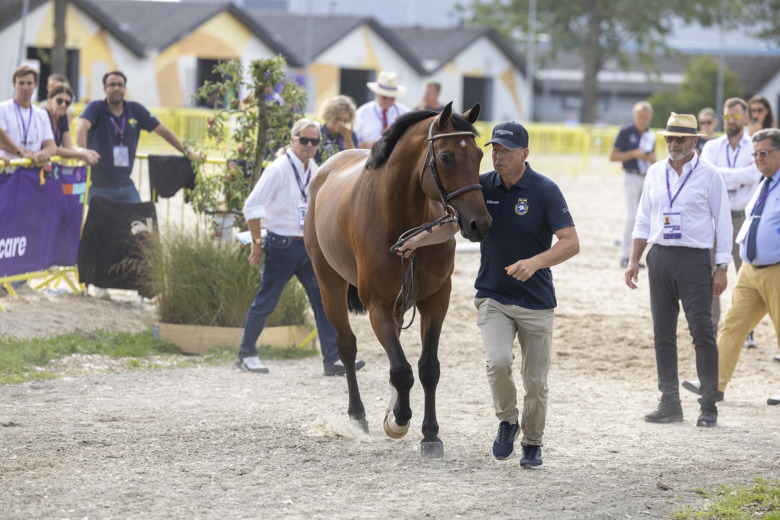 Jens Fredricson-markan Cosmopolit 2 220813 Rt