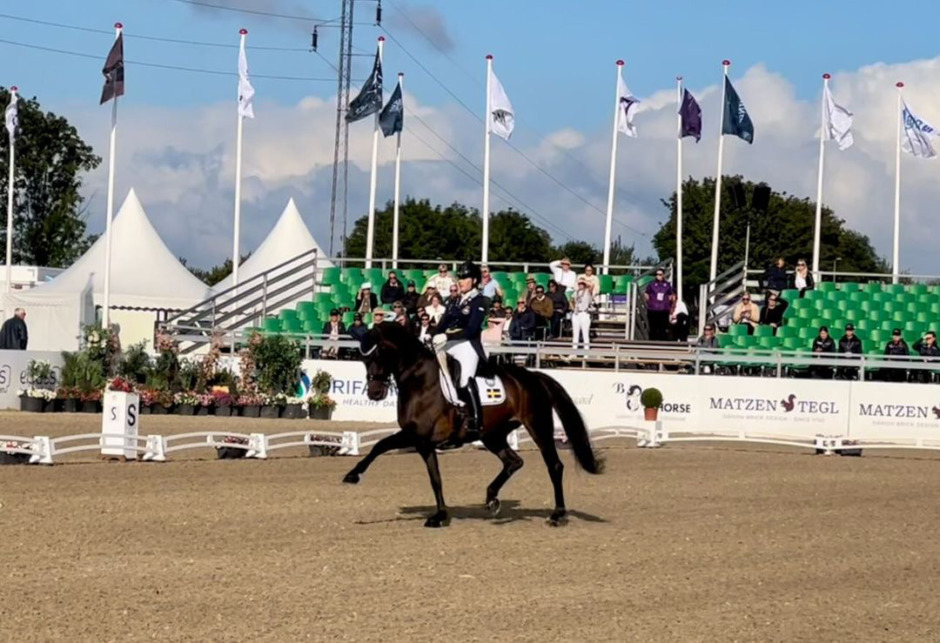 Svenska ungdomsryttare med i topp fem i Herning