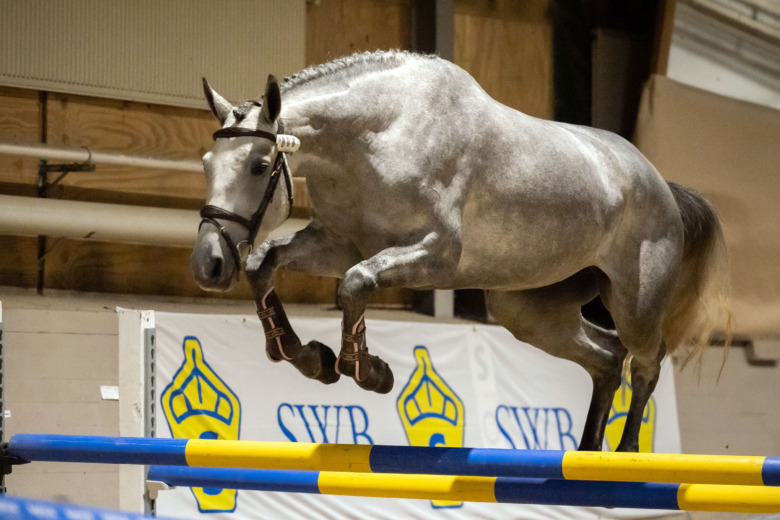 Kaxig attityd gav höga poäng