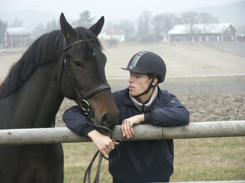 Möt Henrik von Eckermann anno 2003: ”Jag har börjat om”