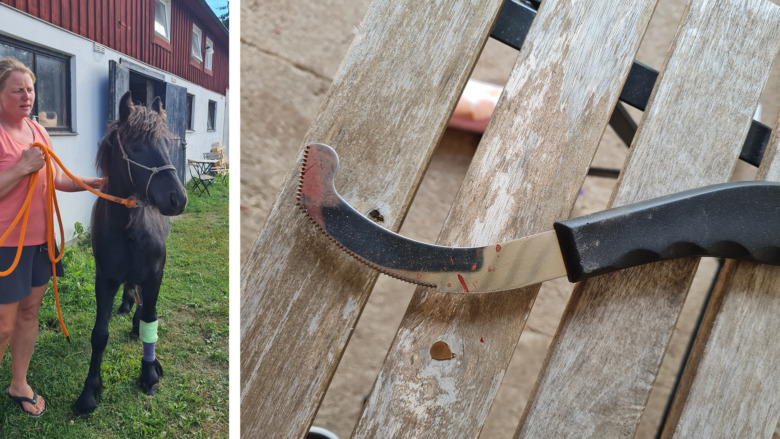 ”Det såg ut som ett slakthus”