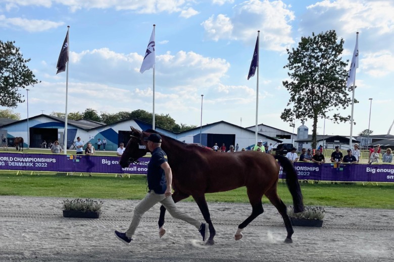 Svenska hästarna dansade genom besiktningen