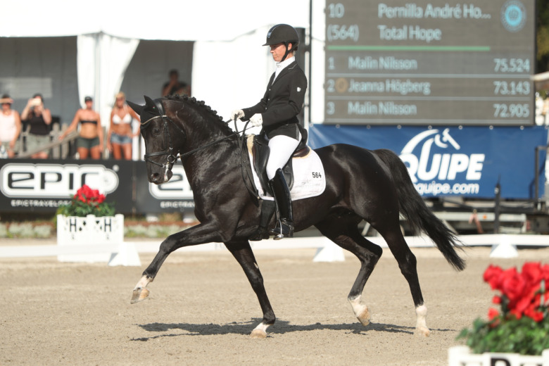 De har flest avkommor i Breeders-dressyren