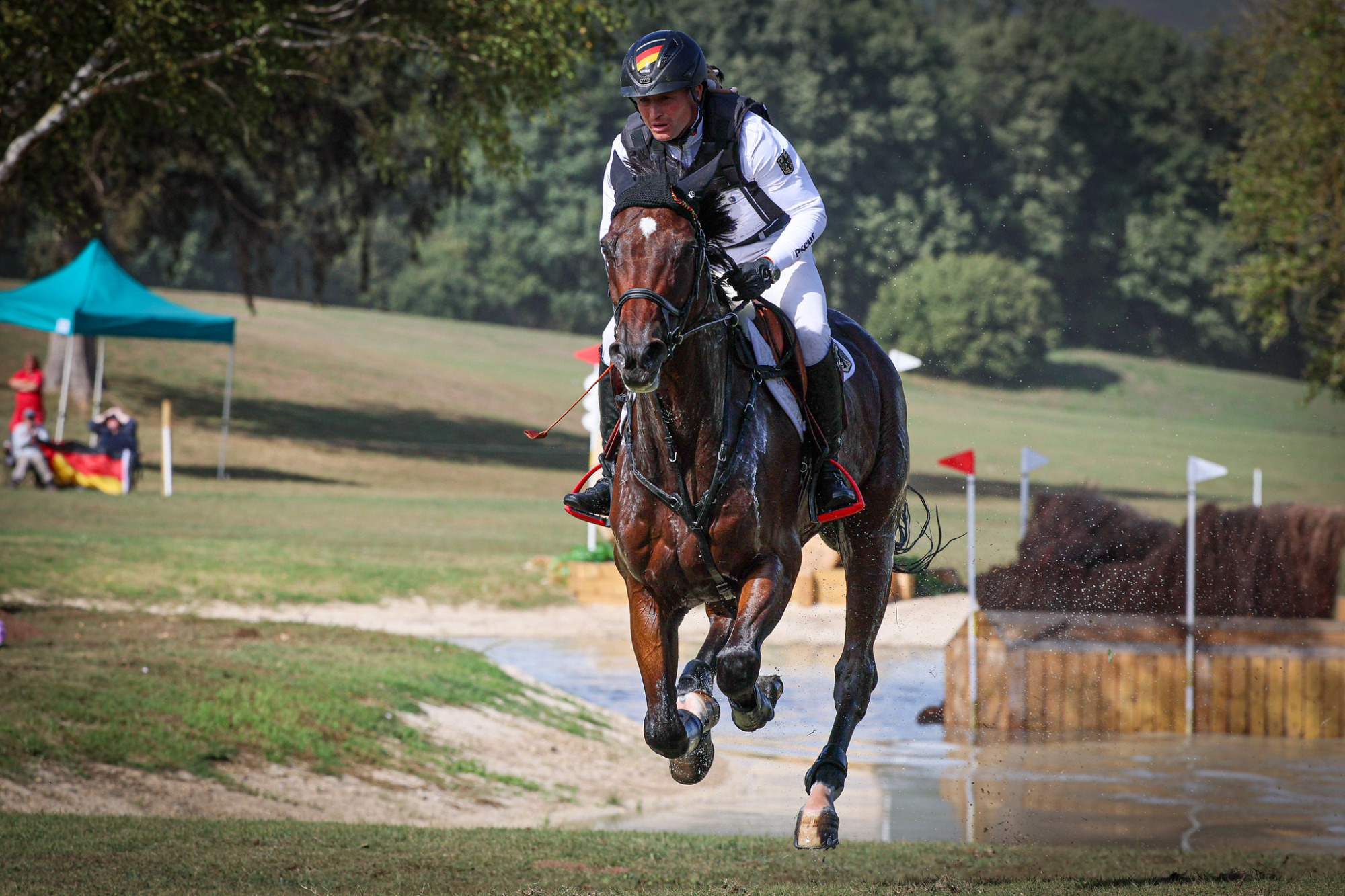 52364563119_9884ee3045_k