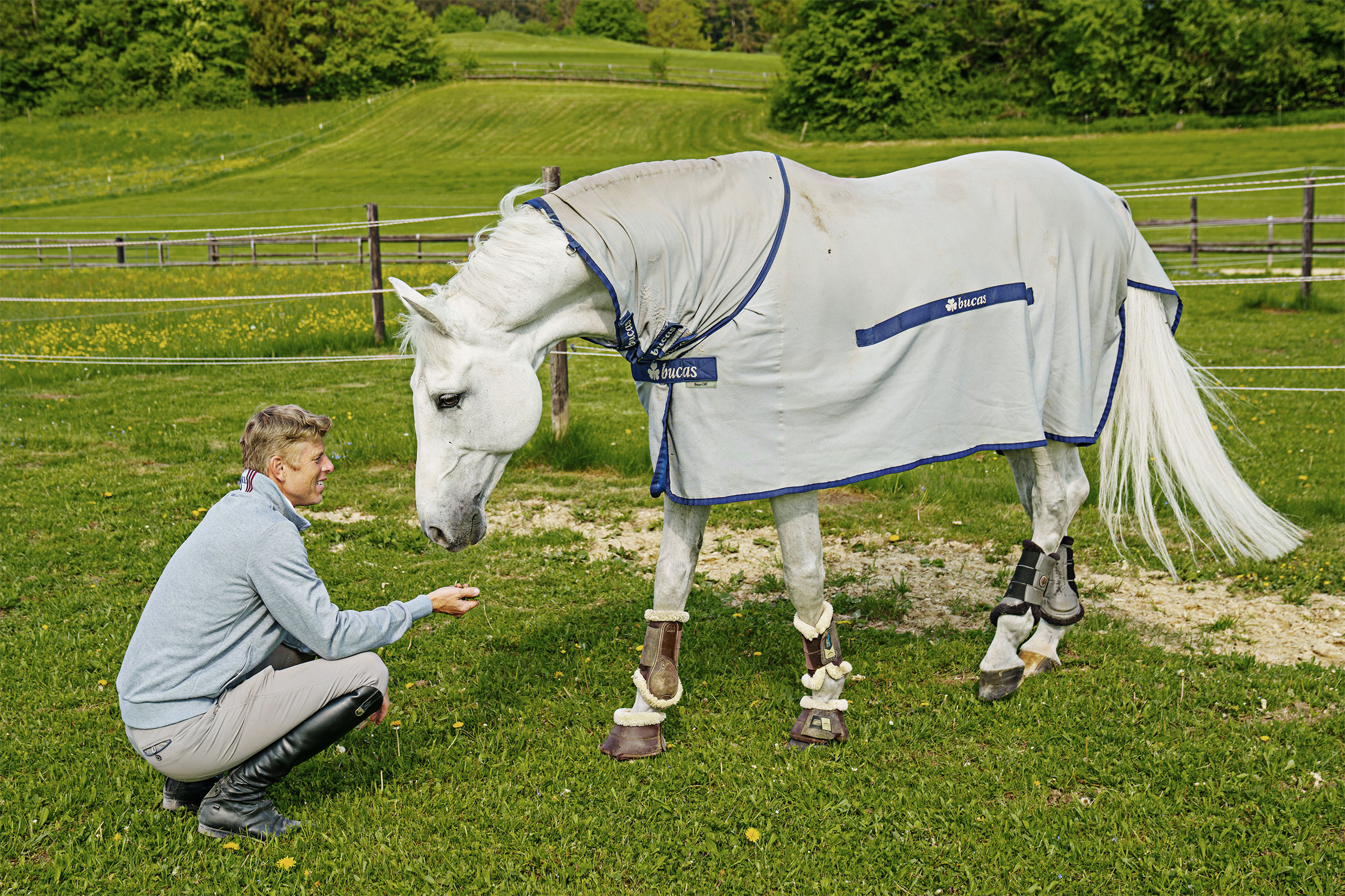 Chardonnay_mk_kcl6188