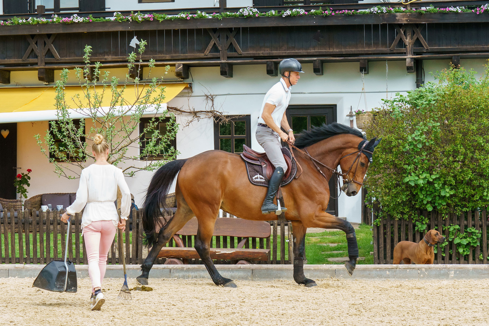 Eic_daloubet_mk_kcl6208-2