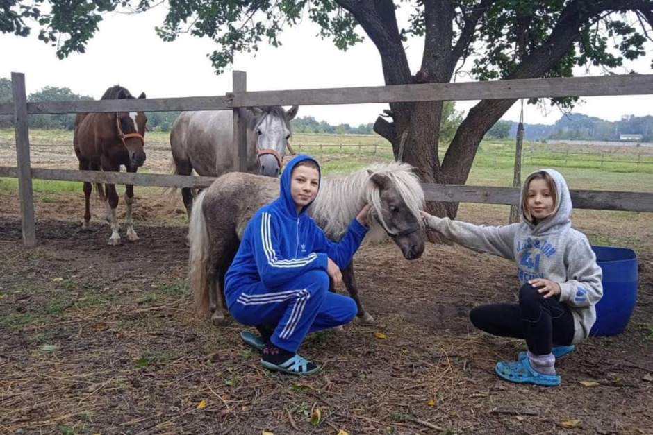 Tusentals ukrainska hästar riskerar att svälta i vinter