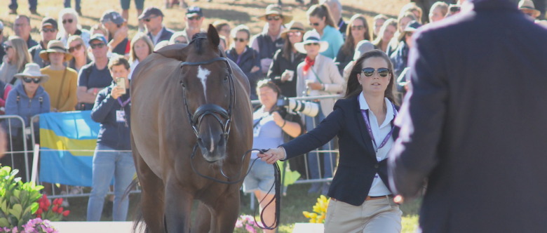 Sverige klättrar i lag-VM inför avgörandet