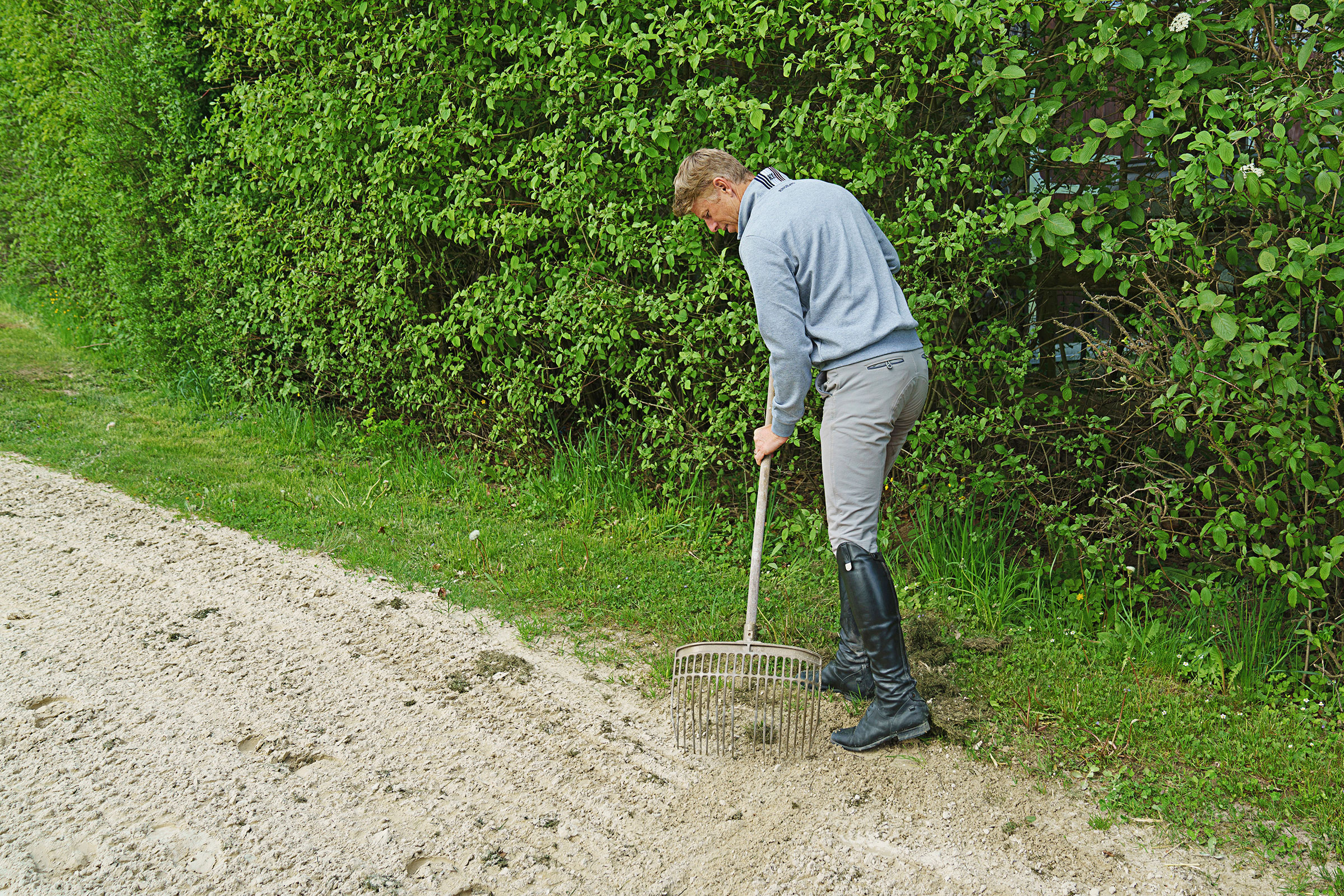 Perfektionist_mk_kcl6184