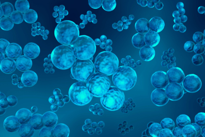 Antibiotikaexperten: ”Om ingen bryr sig blir det värre och värre”