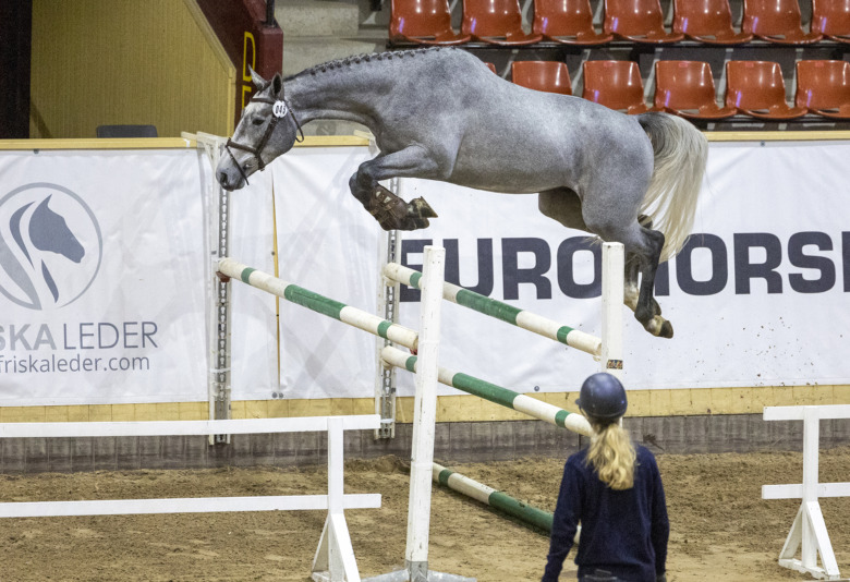 3-åringarnas championat avgjort