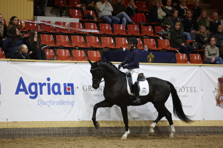 Oemotståndlig Skyline vann 4-årsfinalen