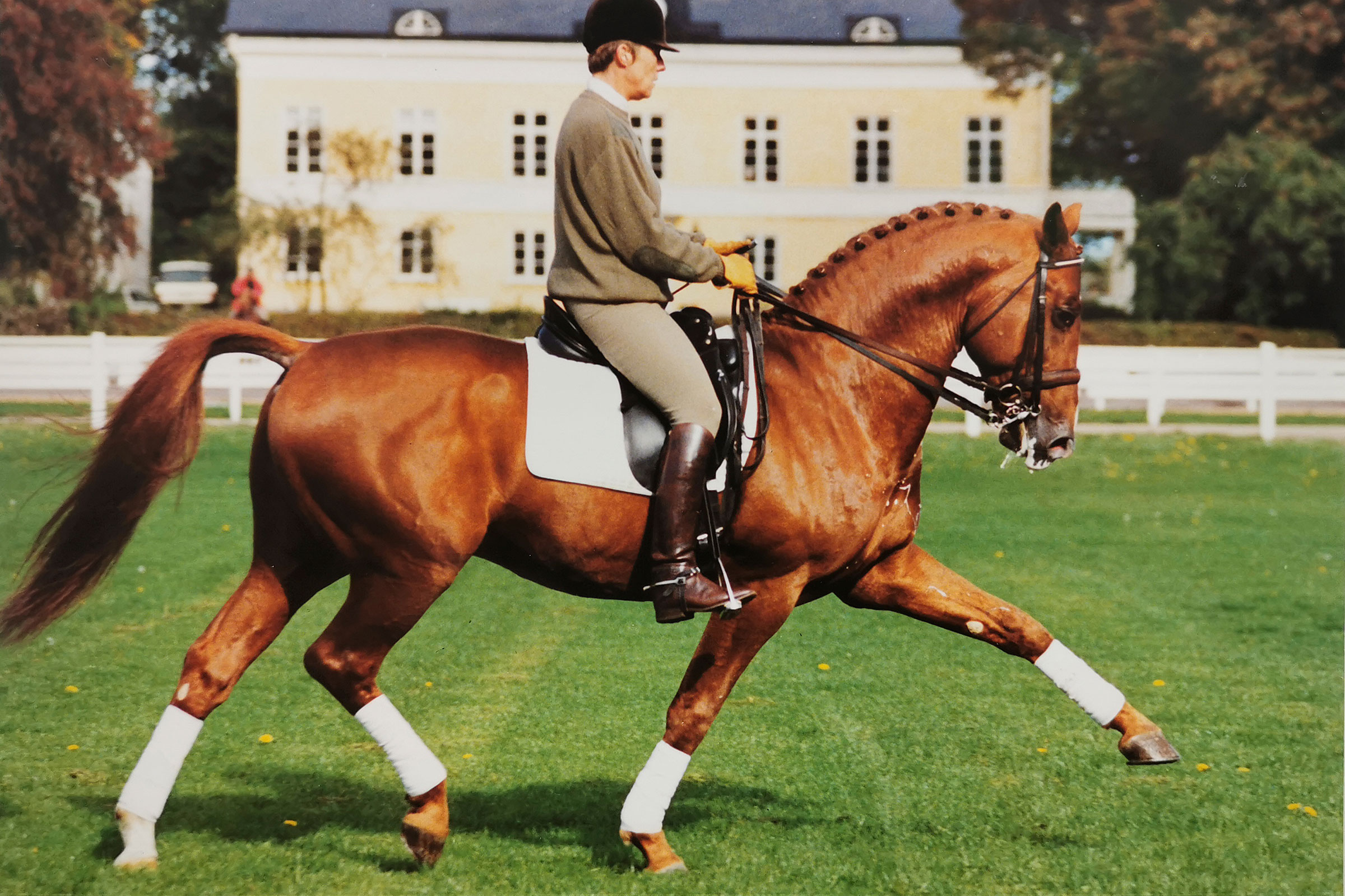 Amiral2-foto-krister-lindh