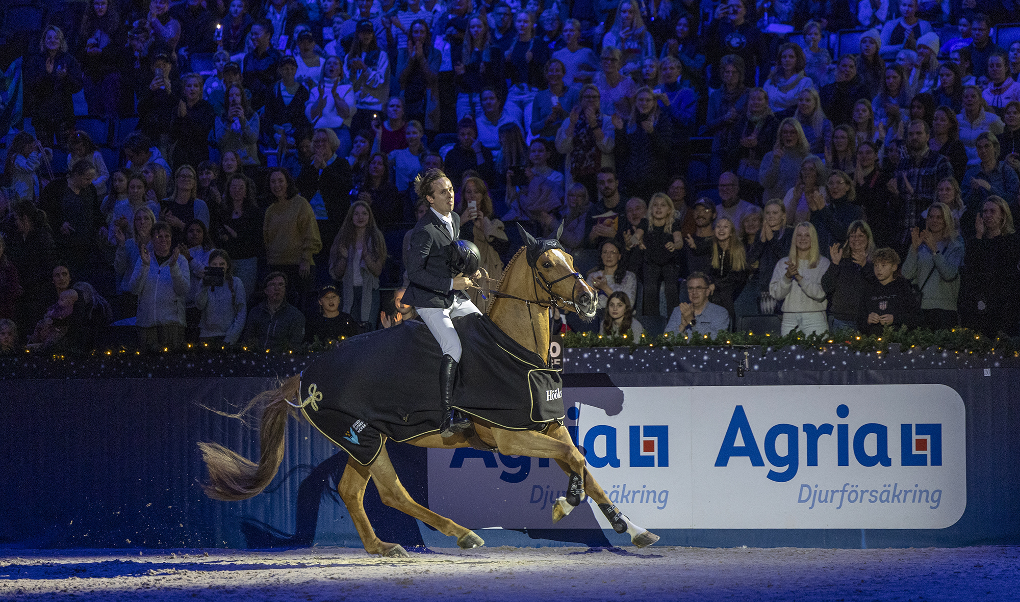 Bertram Allen-empoli De Champloue 1 221126 Rt