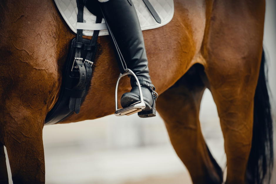 Piskade sin häst – döms för djurplågeri