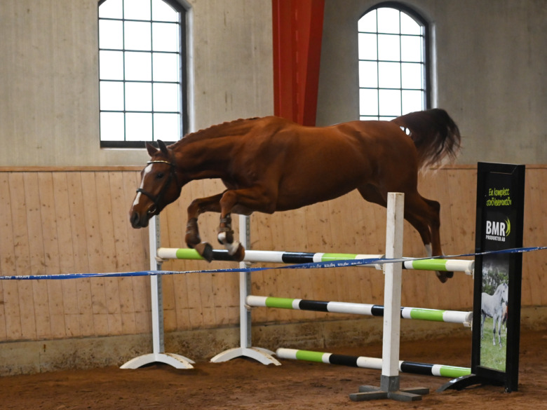 Stenhaga Oscar An