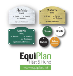 Dag12_equiplan_2022