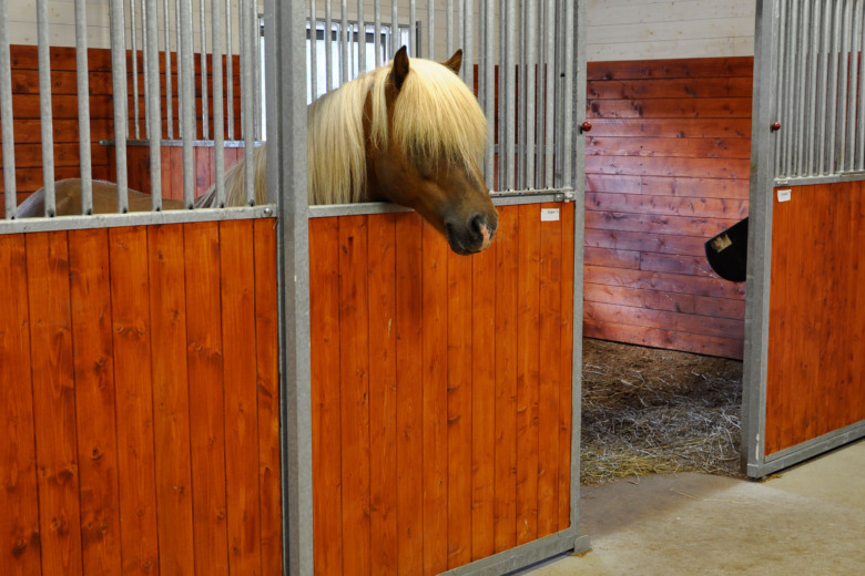 Så väljer du rätt material i stallet