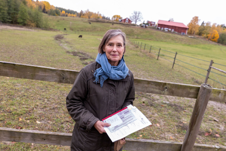 Svenskfött Trakehnersto kvalad till Bundeschampionatet