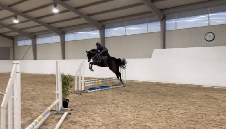 Kolla klippet: Svenskägd unghäst såld till brittiska stjärnskottet