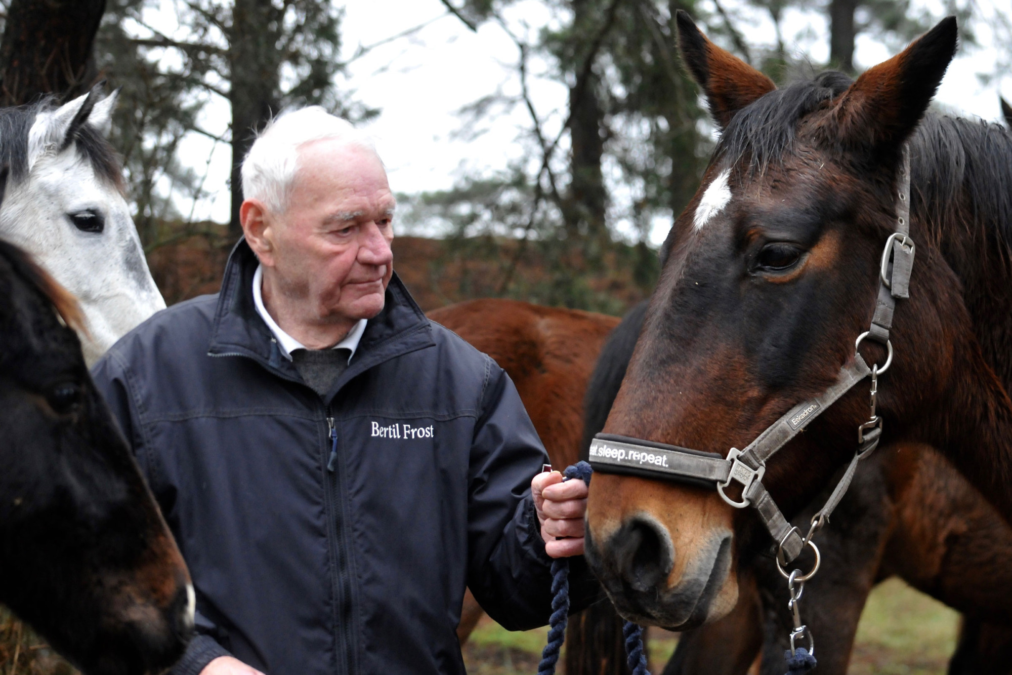 3.-bertil