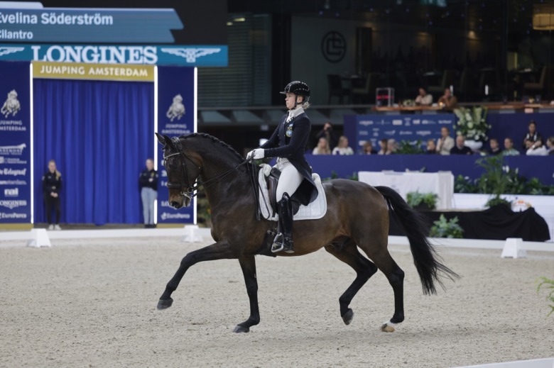 Placeringar för Evelina Söderström i Lövstas internationella tour