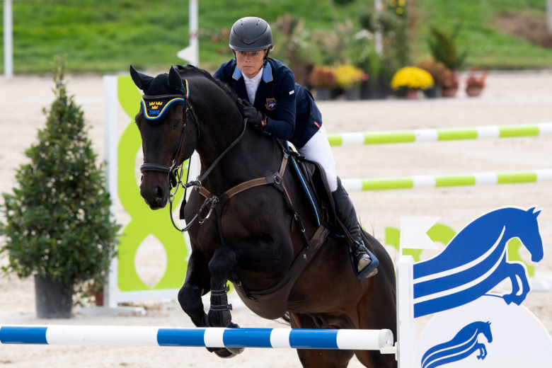 Förstahästen äntligen redo för satsning