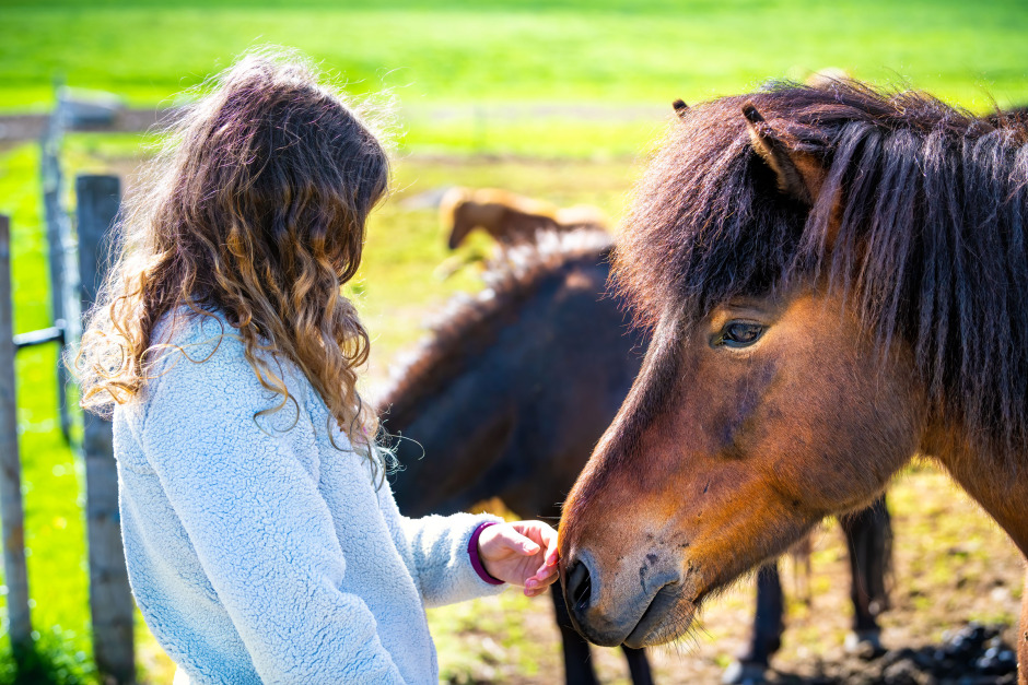 Stöd för tjejer på Gothenburg Horse Show