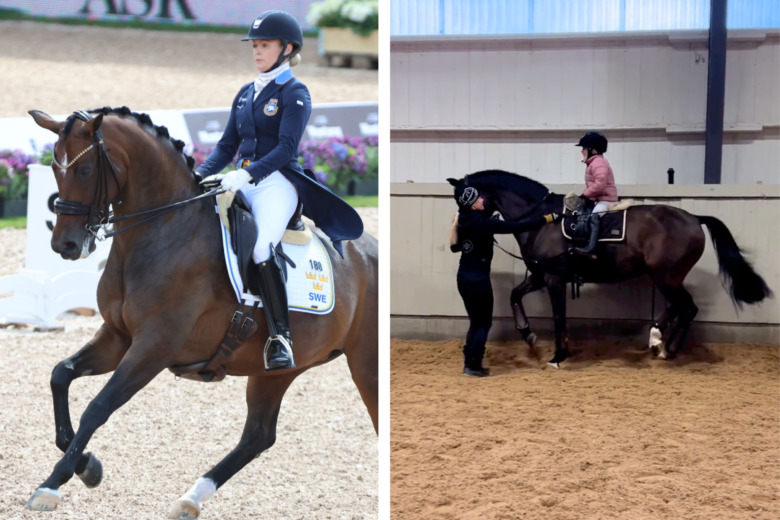 Kolla klippet: Piaffdebut på VM-hästen