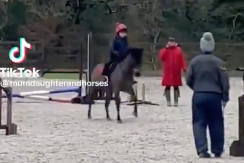 Kolla klippet: När ponnyn förstår uppgiften