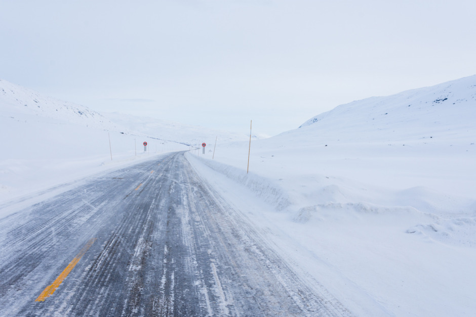 Lavin dödade 15 hästar
