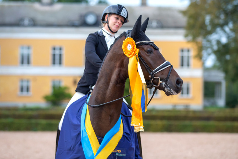 Hon testrider 4-åringarna på Breeders