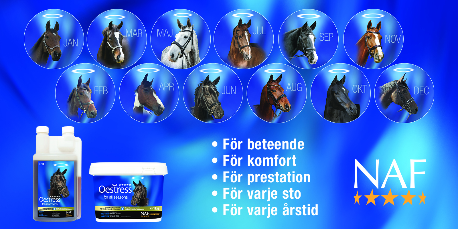 Naf-se-ridsport-oestress-1600x800px-23