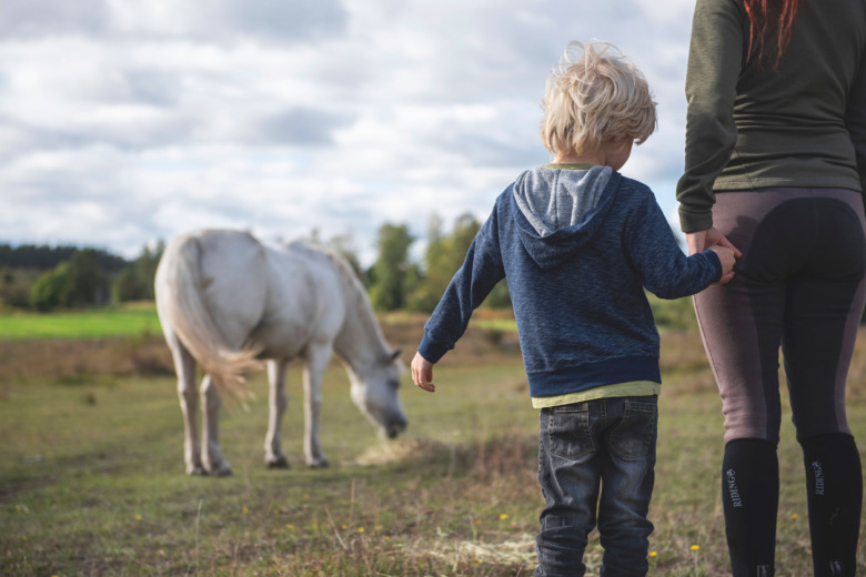 Sambon pressade henne att ge upp hästarna
