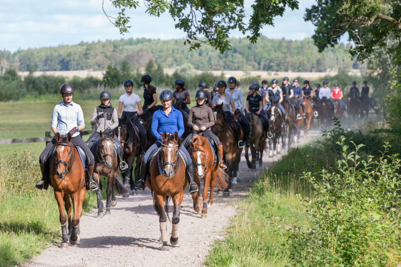 ”Viktigt att hästägare besvarar enkäter”