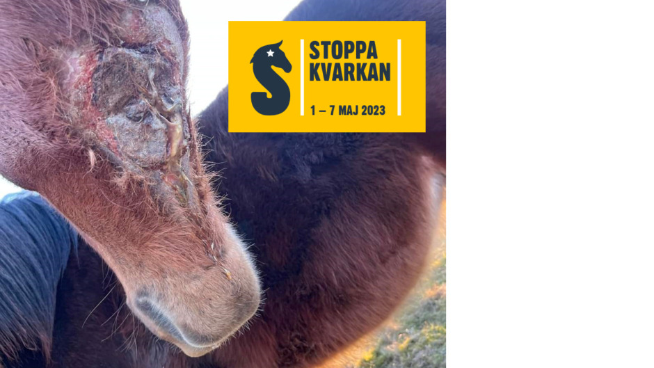 Veckolång kampanj mot kvarka startar