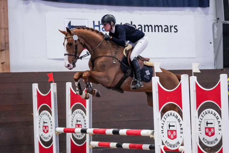 ”Fina mödernelinjer och moderna fäder”