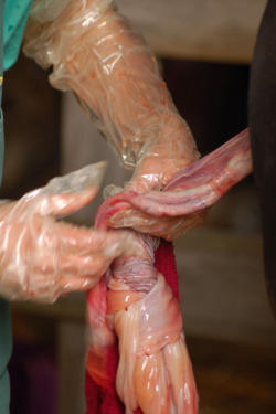 Efterbord-istock-89158028