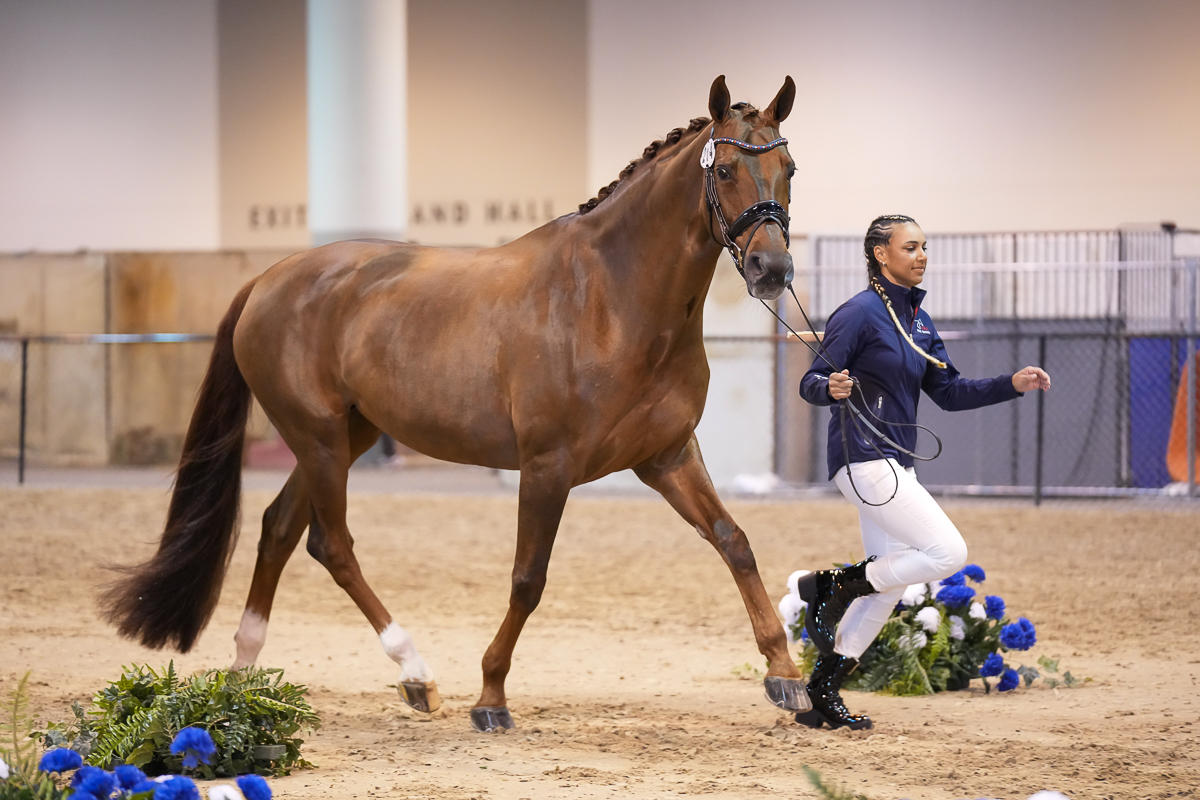 FRH Davinia La Douce