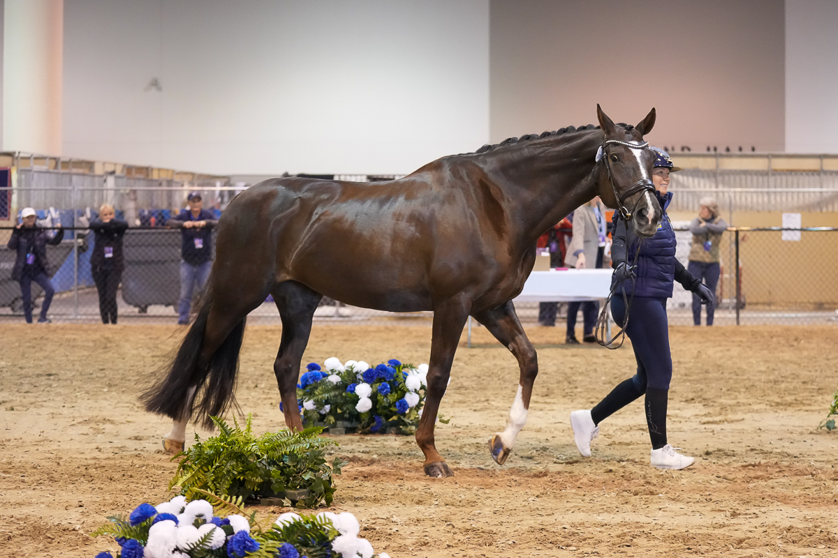 Mazy Kl&ouml;venh&ouml;j