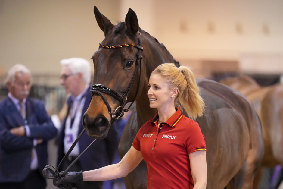 Världscupfinalens dressyrhästar i fokus