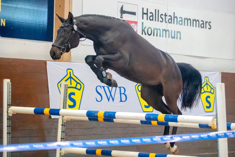 Koll på ridsportsverige: Händer runt Valborg och i maj