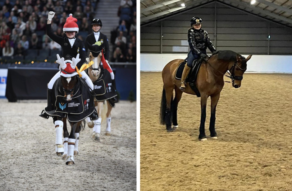 Från drömmarnas ponny till utmaningarnas häst: ”En helt ny värld”