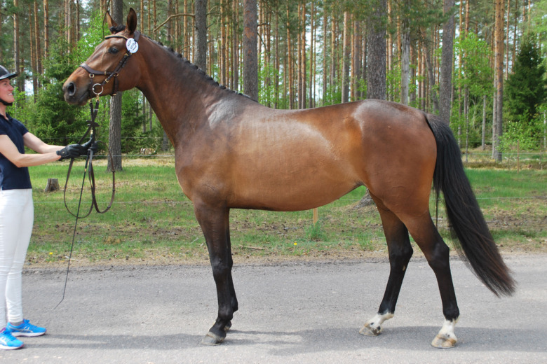 Liten men naggande god