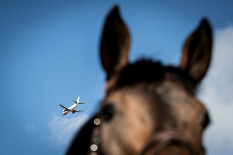 Ridsportens klimatkris